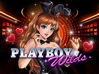 Playboy Wilds